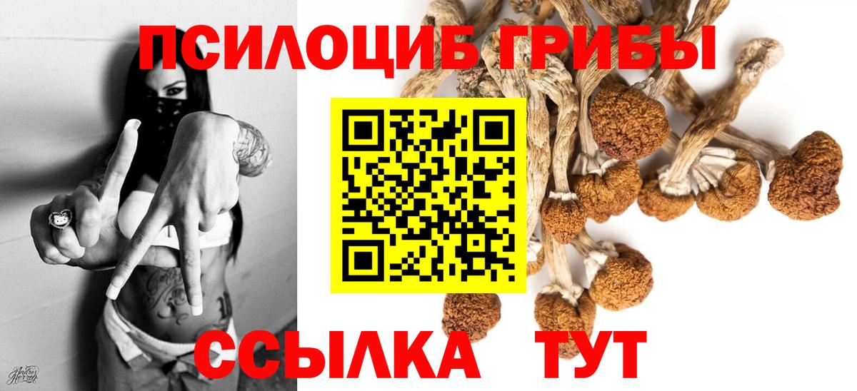 Чайковский  Псилоцибиновые грибы мухоморы  Галлюциногенные грибы Magic Shrooms  Вход с VPN 